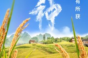 日喀则芒种节气小知识来了 夏种作物都有什么？