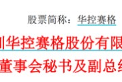 日喀则华控赛格董事长、董秘、副总经理三高管同日辞职